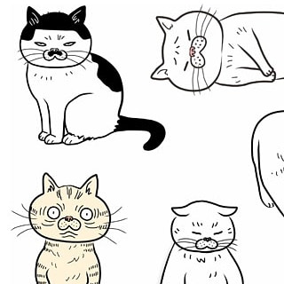 ぶさねこかん作業部屋 Twitter वर ブサ猫イラスト いろいろ 無料ダウンロードできます T Co Ysbezybzzl ブサ猫 猫イラスト 無料猫イラスト フリー猫素材 ねこ 猫好き おもしろ猫 Cat Catart Funnycat T Co 1uhtksgdwq Twitter