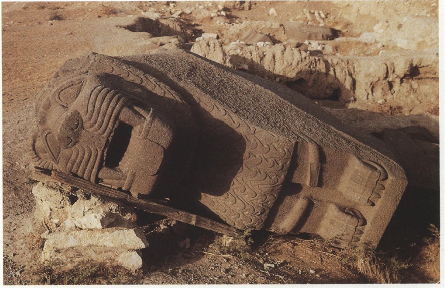 The temple of ‘Ain Dārā was only unearthed after the chance discovery of this colossal portal lion sculpture by a shepherd in 1954. By then, only the lion’s head was visible, and after preliminary excavations, the portal lion was found to have fallen on its side in antiquity. (2)