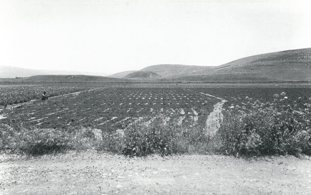 First, here are some photos of the ‘Ain Dara mound. (5)