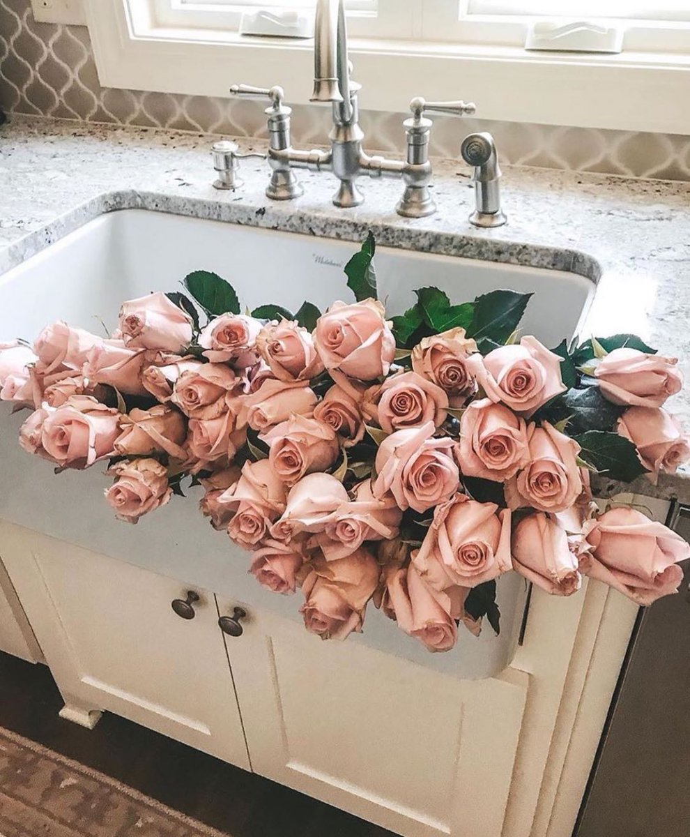 🌷 (@flowerimgs) on Twitter photo 