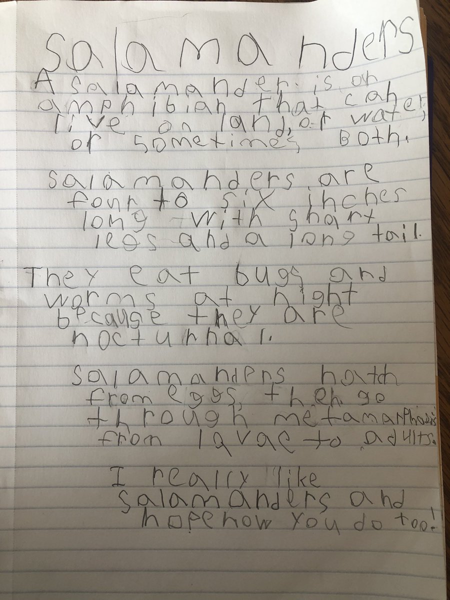 SidePone's tweet image. Do you know how long it takes a 7 year old to write salamander? Long enough that I’m still reeling from it on Saturday morning. Next animal report we’re picking “ox”.