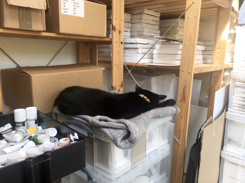 oliviaderivaz's tweet photo. The catโs helping in the studio as usual. Constant battle to keep hair off my products
#Caturday #cathelper #artistscat #artistsassistant #SaturdayMotivation #saturdaynap #wildlifeartist #animalartist #vetlife #thevetwhopaints #CatsOfTwitter #CatsOfTheQuarantine #blackcat #catnap https://t.co/FC717LpnhJ