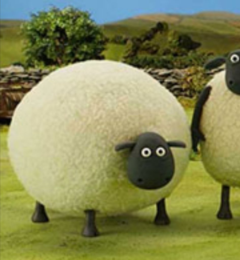 Ben. (@gcckandproud) on Twitter photo 