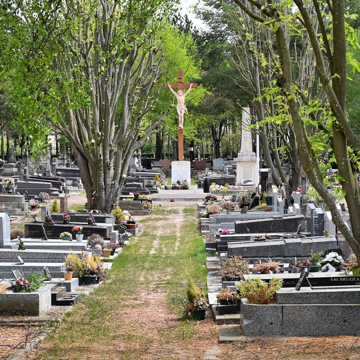 Ville De Saint Michel Sur Orge On Twitter Le Cimetiere Saintmichelsurorge Rouvre Le 27 Avril Du Lundi Au Vendredi De 14h A 17h Et Le Samedi De 9h A 12h Il Sera Imperatif De Prendre
