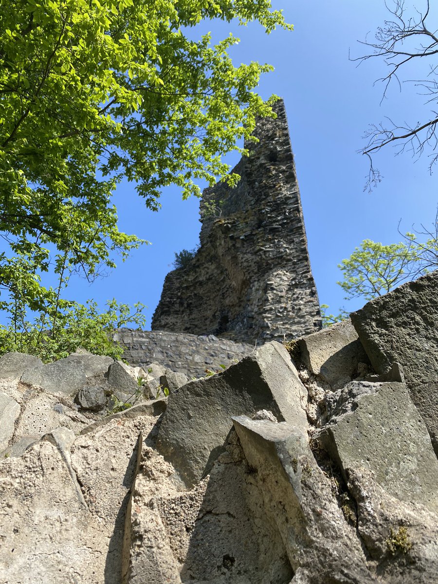 mazl77's tweet photo. Wanderung durch den Rheinbacher Wald zum Tomberg und der Tomburg.
#Tomberg #Tomburg #Rheinbach #wanderung #ausflugsziel #burg #Videoleben #Familyeller https://t.co/7rFEG1w9BZ