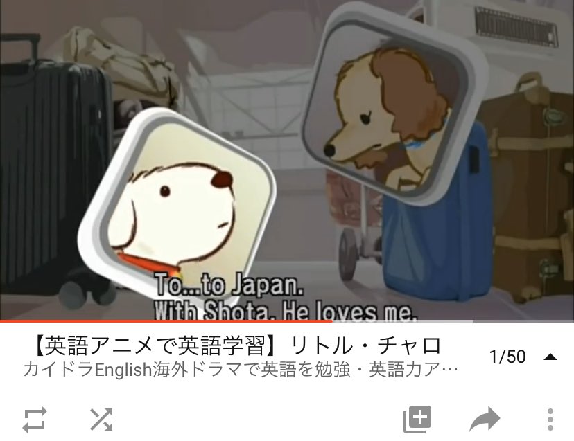 前田将多 Twitterissa リトル チャロ という英語学習アニメを教えてもらった Nyで迷子になった犬 のチャロくんが 飼い主のショータを探す物語なんだそうな うちのジョージは保護犬時代の名前が チャビ あかんやん オレ泣くやつやん T Co