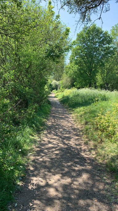 I just walked for so long feels amazing ✨💞 https://t.co/9I33VibFvN