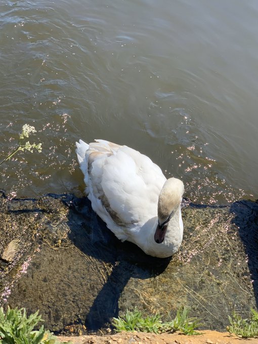 I just walked for so long feels amazing ✨💞 https://t.co/9I33VibFvN