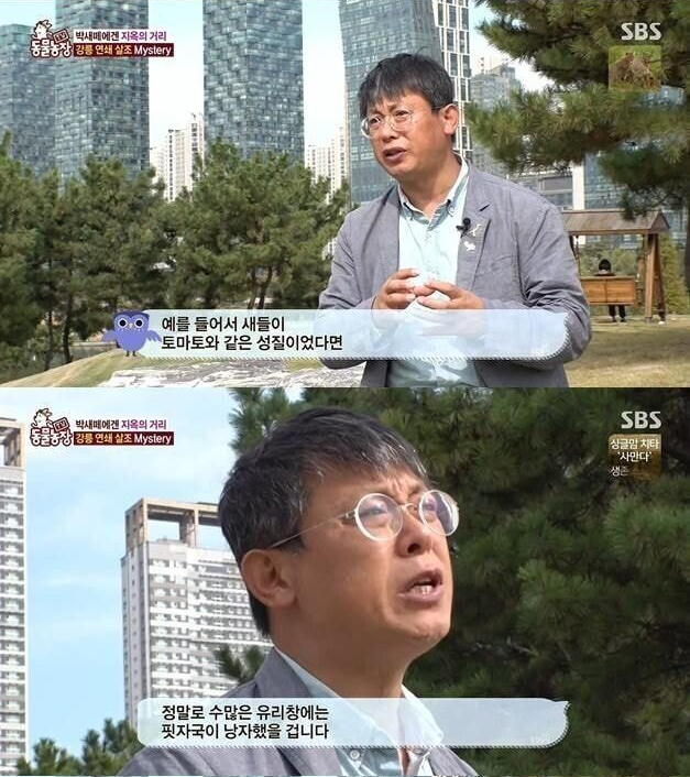 팔백 tweet media