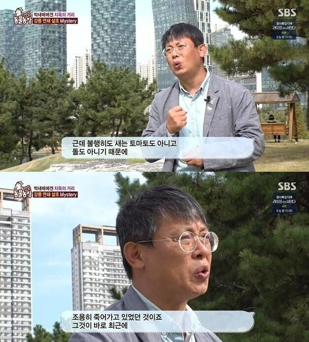 팔백 tweet media