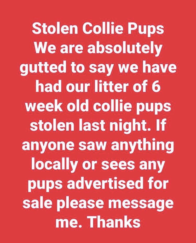 Emma Pate tweet media