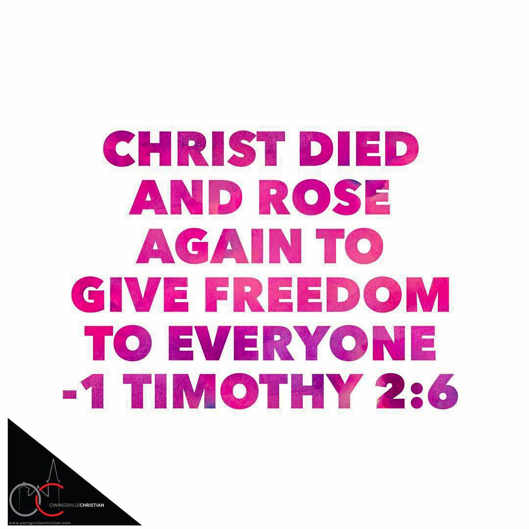seanbailey_'s tweet photo. ‼️  The Gospel is for EVERYONE!    ‼️
#dailyinspiration https://t.co/4yK5jgzrD4