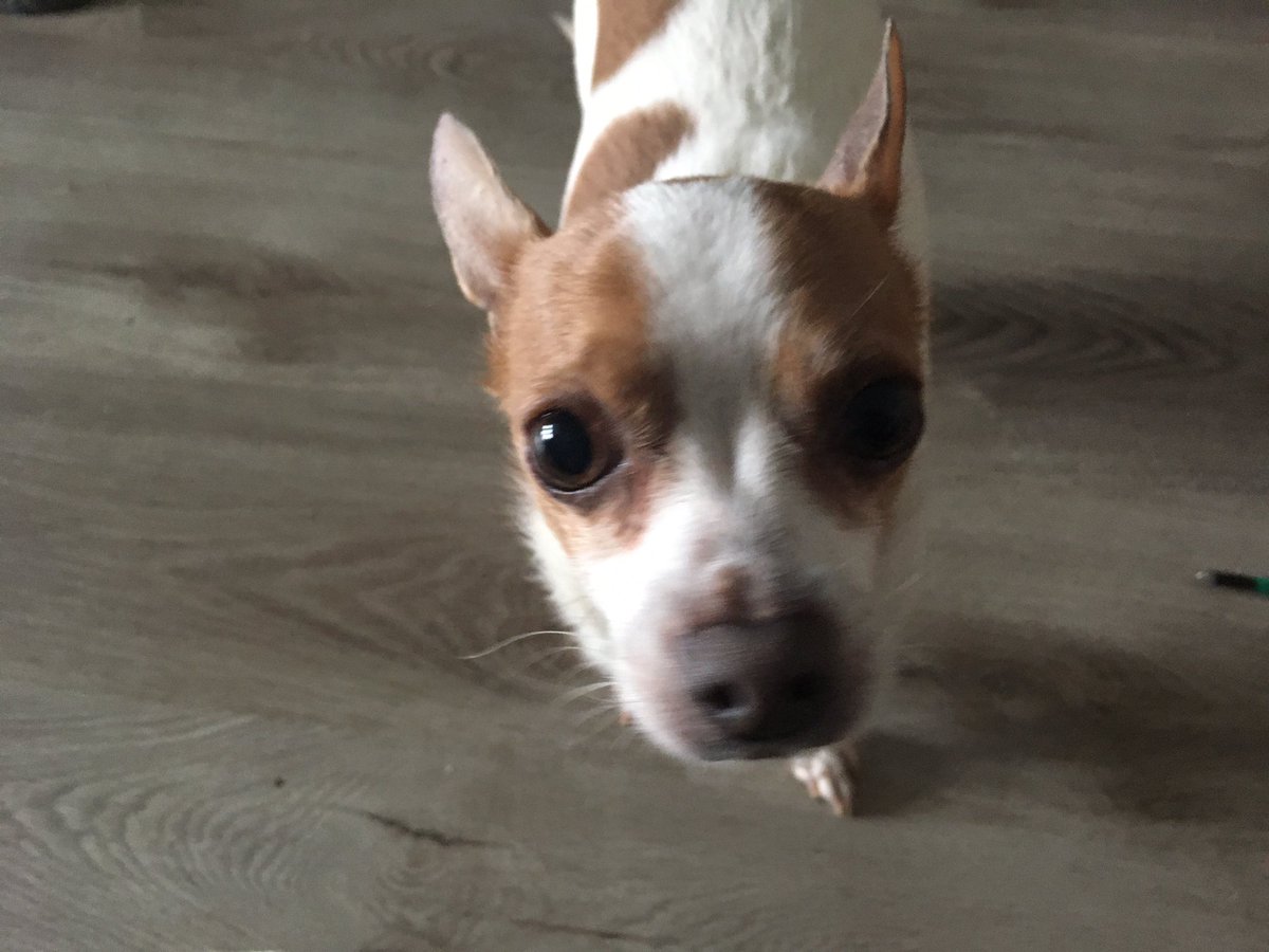 jonny negative tweet media