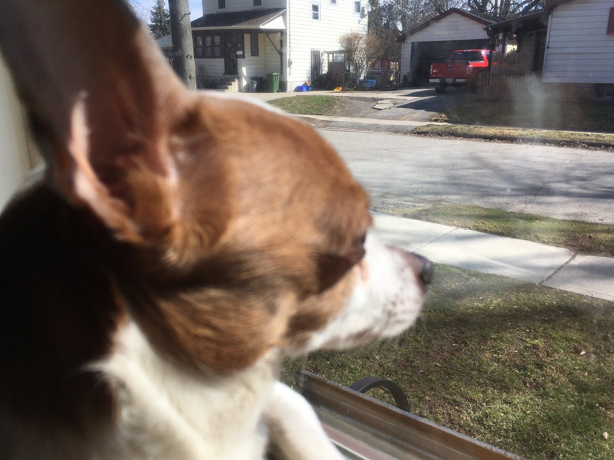 jonny negative tweet media