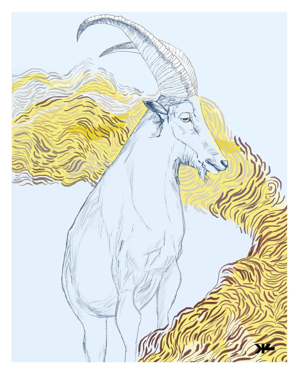 SlaviSavic's tweet photo. Have we learned everything that is to know about social distancing or do I need to continue making self portraits. 
#goats #yellow #illustrationart https://t.co/cwzEu2TbGk