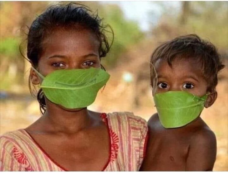 Lakshay_2000's tweet photo. I don't know who clicked this or from where it is... But this shows that #nature can give you everything what you need !! It's not only about #MaskIndia it is about understanding what precautions could be taken. #Bestpicture seen in this #lockdown in this #coronavirus tragedy !! https://t.co/Fr8lkVFHQL