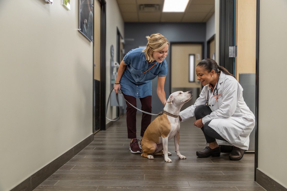 On #WorldVeterinaryDay, we celebrate all of the those in the #veterinary industry who have dedicated their lives to helping animals.  #ThankYou #Grateful #WorldVeterinaryDay #MakingAbetterWorldForPets #Banfield #BanfieldCareers #ProudlyMars