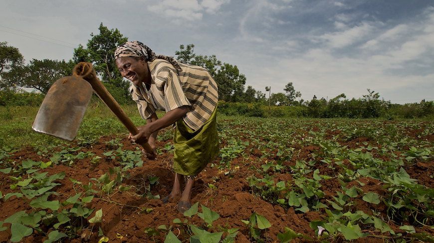 NextBillion's tweet photo. In Africa, less than 3% of total bank lending goes to the agricultural sector – even though it accounts for about 70% of all employment and over 40% of GDP.

Why it's time to bring farmer funding to the forefront:

https://t.co/twkfN7YmEH

@DFCgov #agfin #agtech #BigData https://t.co/DK1LPcF1Ei