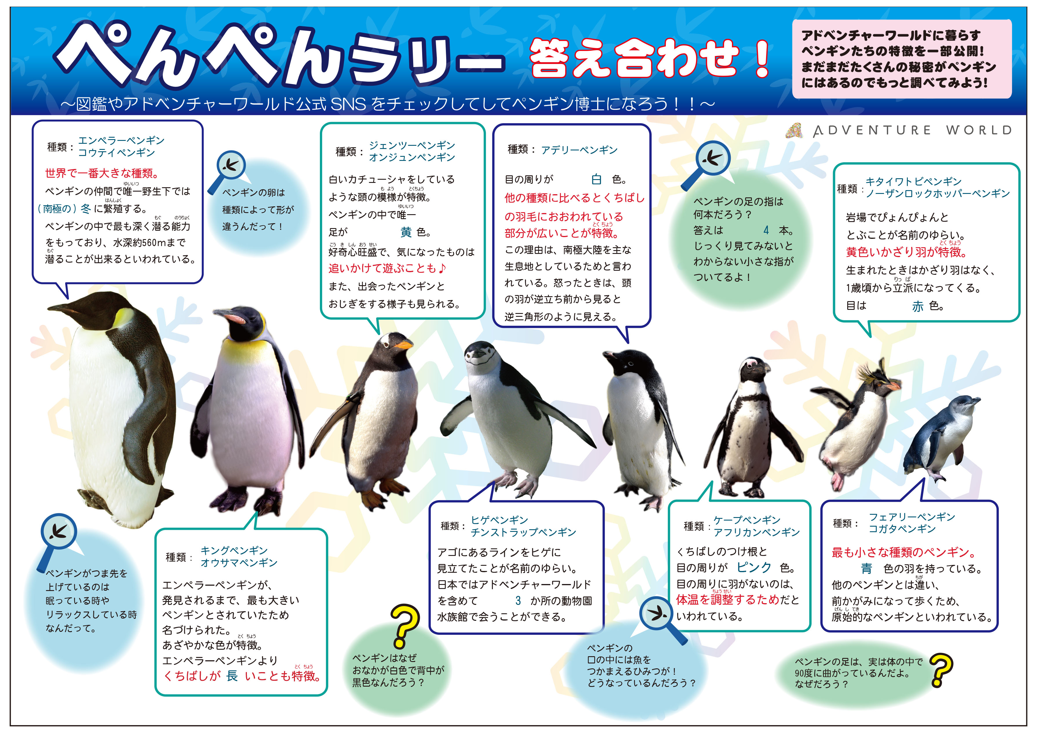 ペンギン様 コウテイペンギン 110 | HANSA