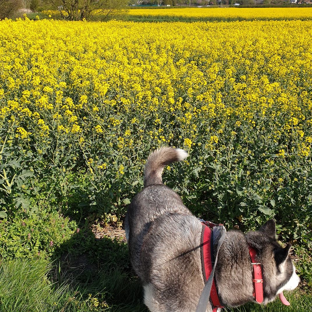 ABIHolidayHomes's tweet photo. We’re brightening your Saturday with some #DoorstepDestinations taken by you!

📷 Jean K
📷: @deighans
📷: Janet S
📷: Alison S https://t.co/nwSTV74x81