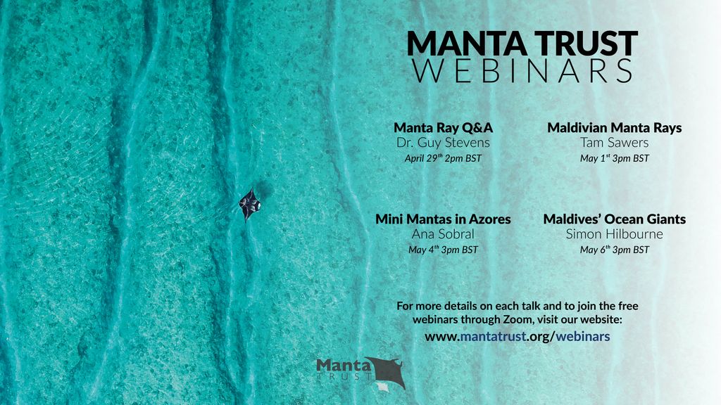 MantaTrust's tweet image. We're super excited to launch a series of #webinars starting next week! On these free webinars, we'll have presentations from @MantaTrust researchers, marine conservationists, policy makers, underwater photographers and film makers and more! Learn more: bit.ly/2zqi5CJ