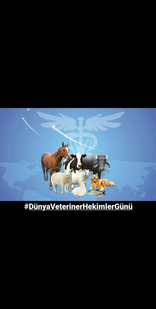 erdemonurs's tweet photo. #DünyaVeterinerHekimlerGünü https://t.co/JnKquMoOmE