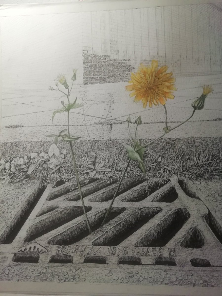 AmieMyselfandI's tweet photo. No matter where the seeds land, or however barren it seems there, they always find enough goodness to grow towards the light.
Drawing by Tom Morgan
#WritingCommunity #ORIGINALS #coronavirus #inspirational #art #flowers #drawings #poetry #howthelight https://t.co/mykebj44D3