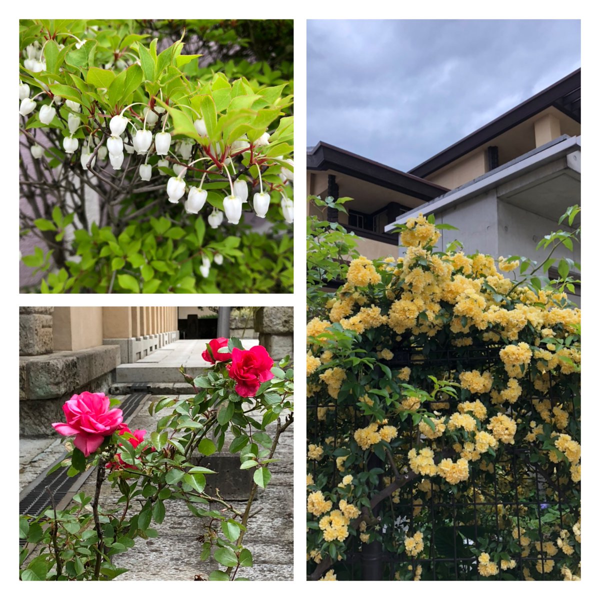 Aiword Aiword18 Twitter