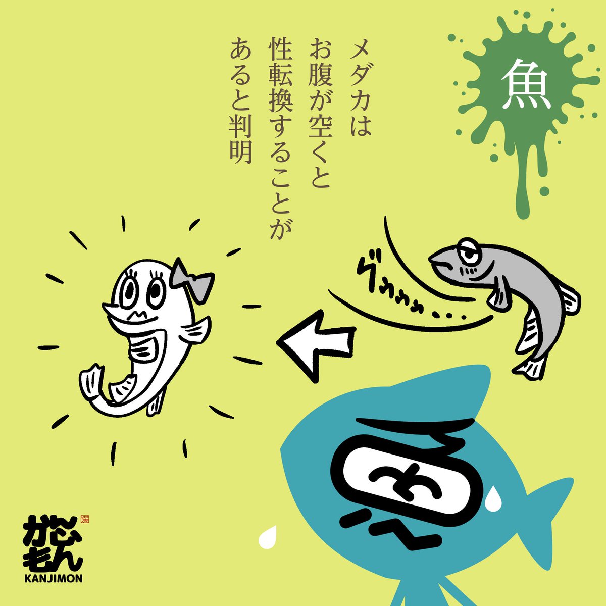 衝撃の事実発覚 エサをやらずにメスの稚魚を5日間育てたところ 2割がオスにな かんじもん Kanjimon の漫画