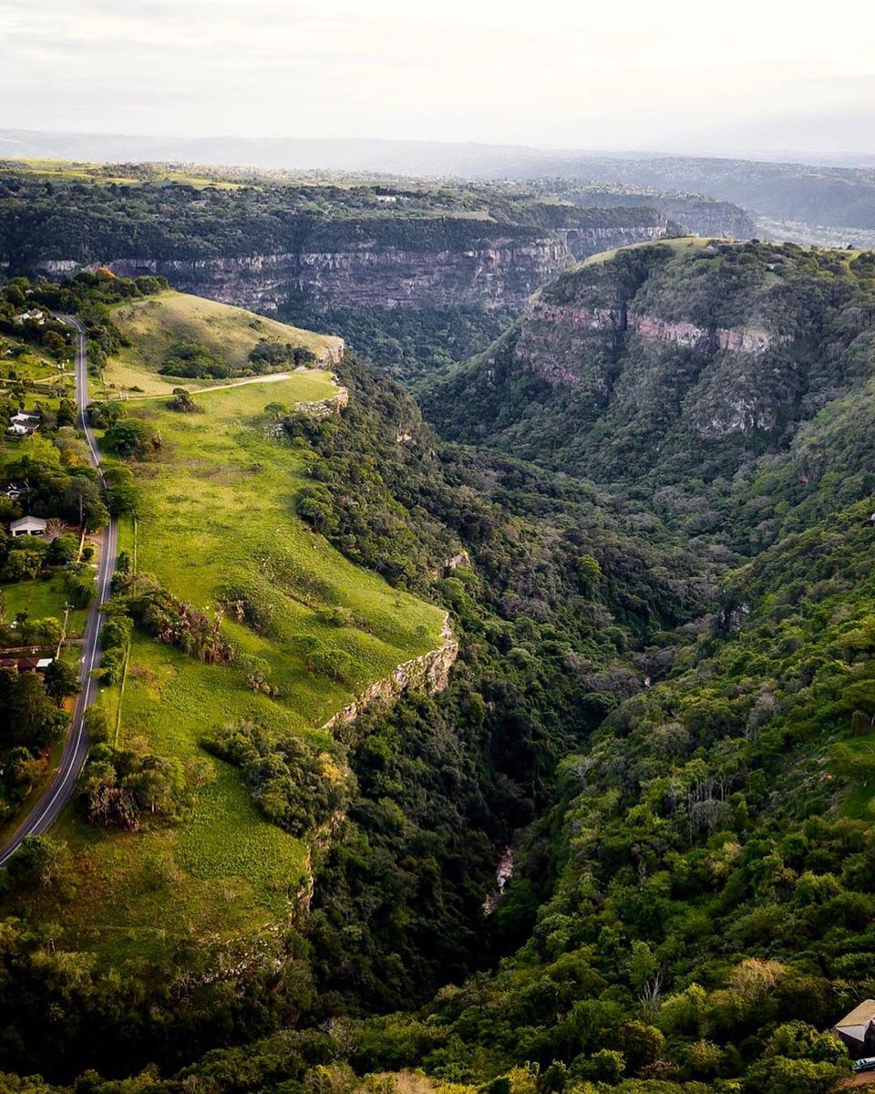 A veritable haven for nature lovers just 20 mins from Durban? Look no further than Krantzkloof Nature Reserve. Covered by dense vegetation and boasting an abundance of wildlife, it's famed for its many scenic walking and hiking paths. 
@ graeholliday #meetsouthafricaLATER