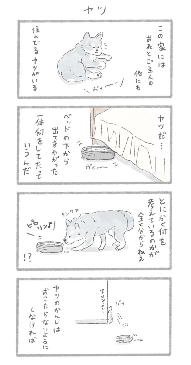 こんにちは、いぬだ
#こんにちはいぬ 