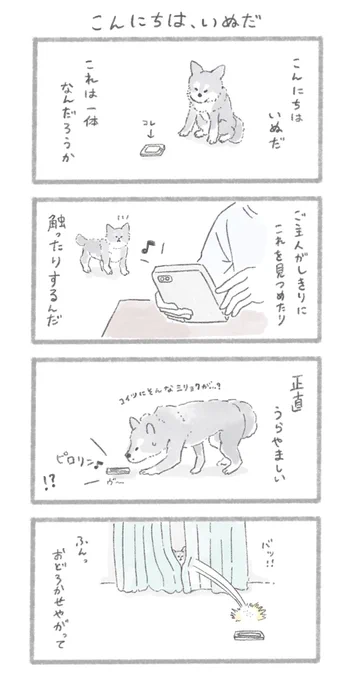 こんにちは、いぬだ#こんにちはいぬ 