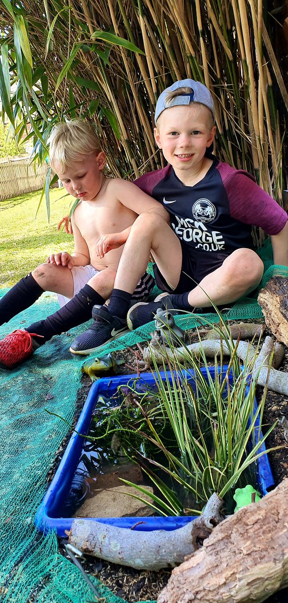 chamberlain2014's tweet photo. Boys made a mini pond from an old container with daddy's help, and also planted grass seeds around it🌱🌱. Hoping for signs of life in and around it soon! 🤞🐸🐌🐛🐜🐝🦗🐞🦟@Reginald_Elton https://t.co/wZWsjBKkwU