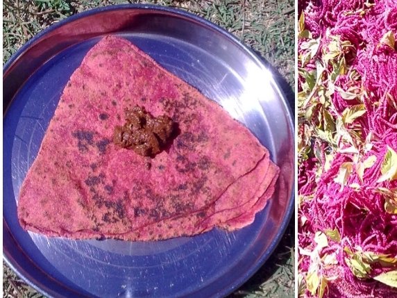 अहा रे...
किस भागी ने खाये होंगे पहले-पहल
भंगिरे की चटनी के साथ चुआ के लाल पराठे।
चुआ- #Amaranthus रामदाना #Himalaya #Food
