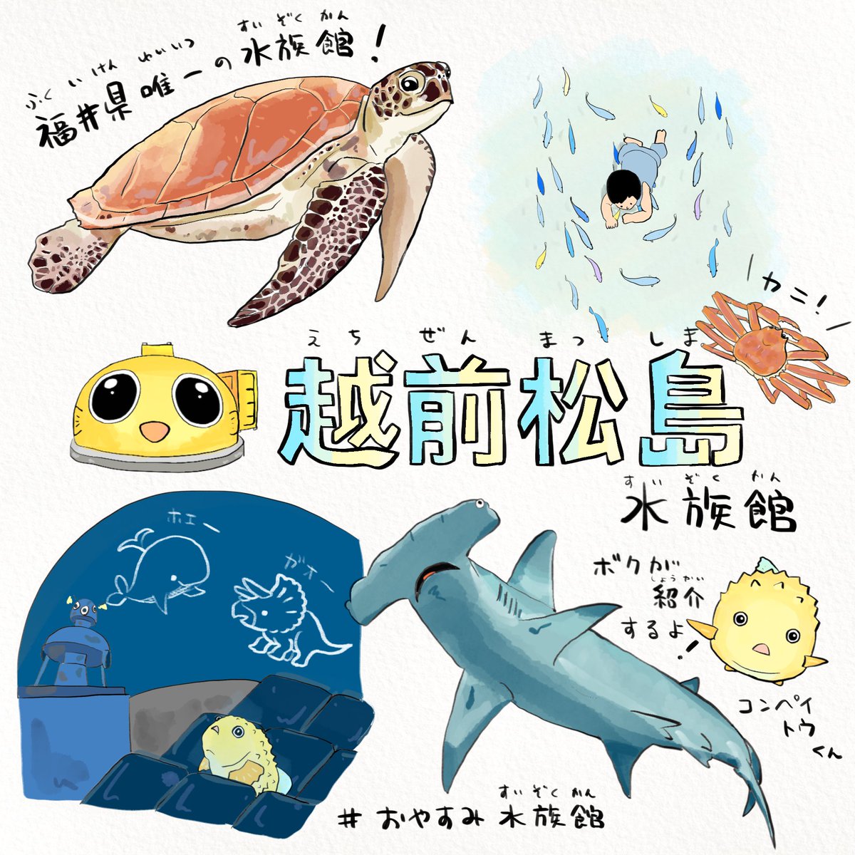 さかなのおにいさん かわちゃん コンペイトウは日本海に住む可愛い深海魚 コロナが終息したらみんなもぜひ遊びに行ってね 2 2 越前松島水族館 さかなのおにいさん かわちゃん コンペイトウは日本海に住む可愛い深海魚 コロナが終息したらみんなもぜひ遊びに行ってね 2 2 越前松島水族館