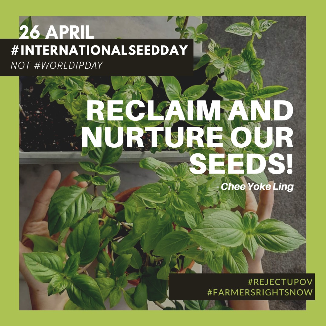 The 26th April is #InternationalSeedDay 🌱 not #WorldIPDay.

#RejectUPOV
#FarmersRightsNow