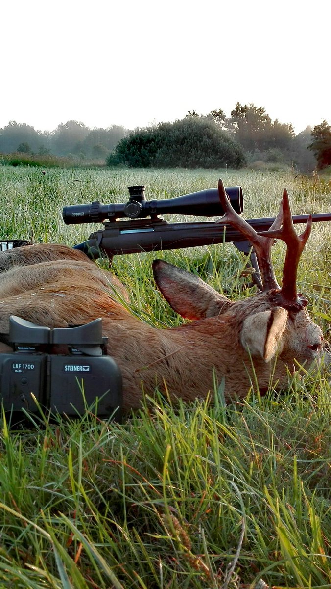 Waffenland_tv's tweet photo. 1th of May we are back in business 💯😎 #steineroptik #7mmremmag https://t.co/g50n6HttD0