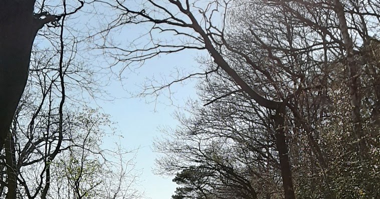 Danke, Corona – Warum die Situation auch zur Selbstoptimierung beiträgt dlvr.it/RVQwT2