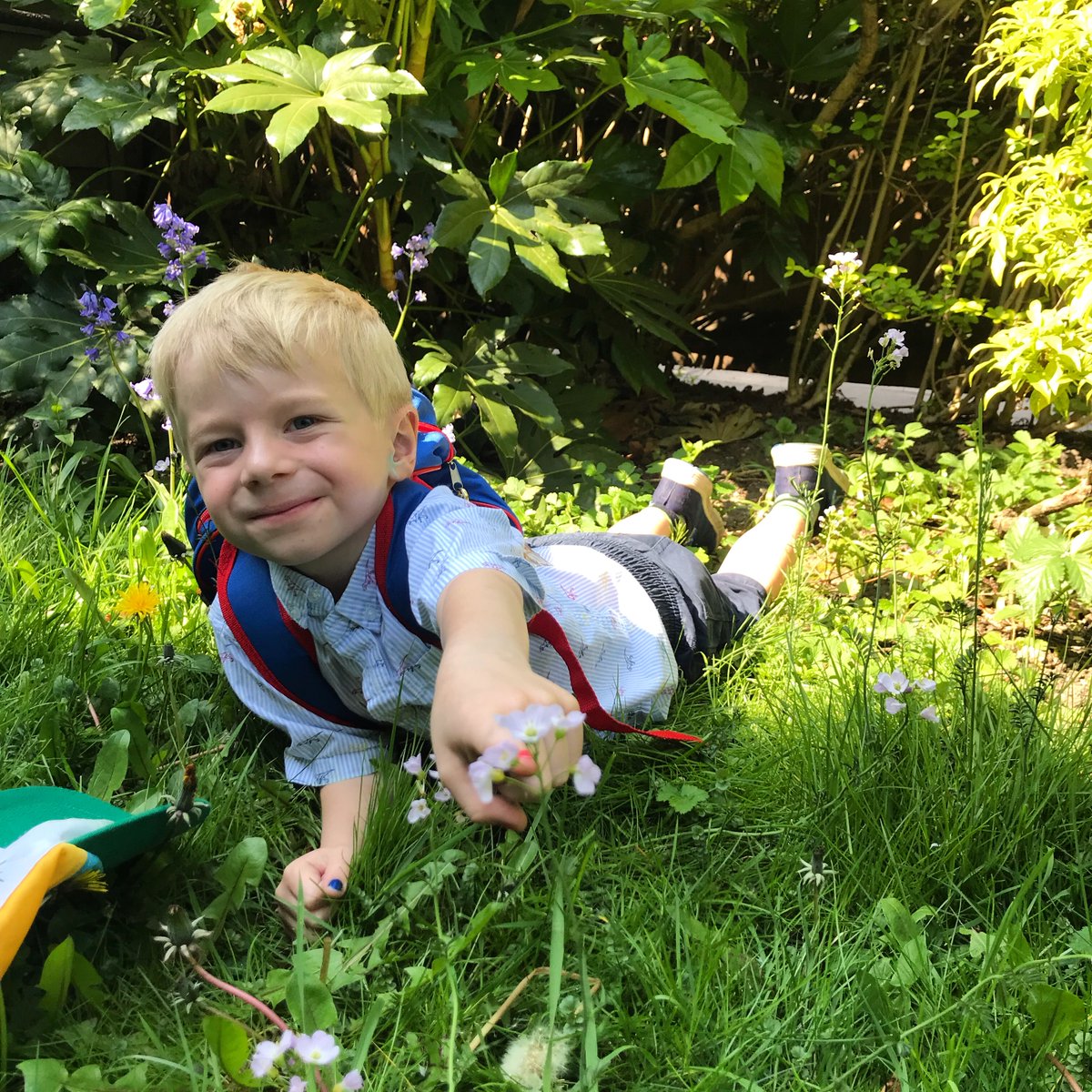 16/26 First sighting of Cukooflower, or Lady’s Smock. Folklore says it’s a favourite of the fairies   so its unlucky to pick it. And it’s the county flower of  #Cheshire. Please support Theo's  #twopointsixchallenge for  @bowelcanceruk  https://www.justgiving.com/fundraising/our-2-6-challenge-for-bowelcancer-uk3455