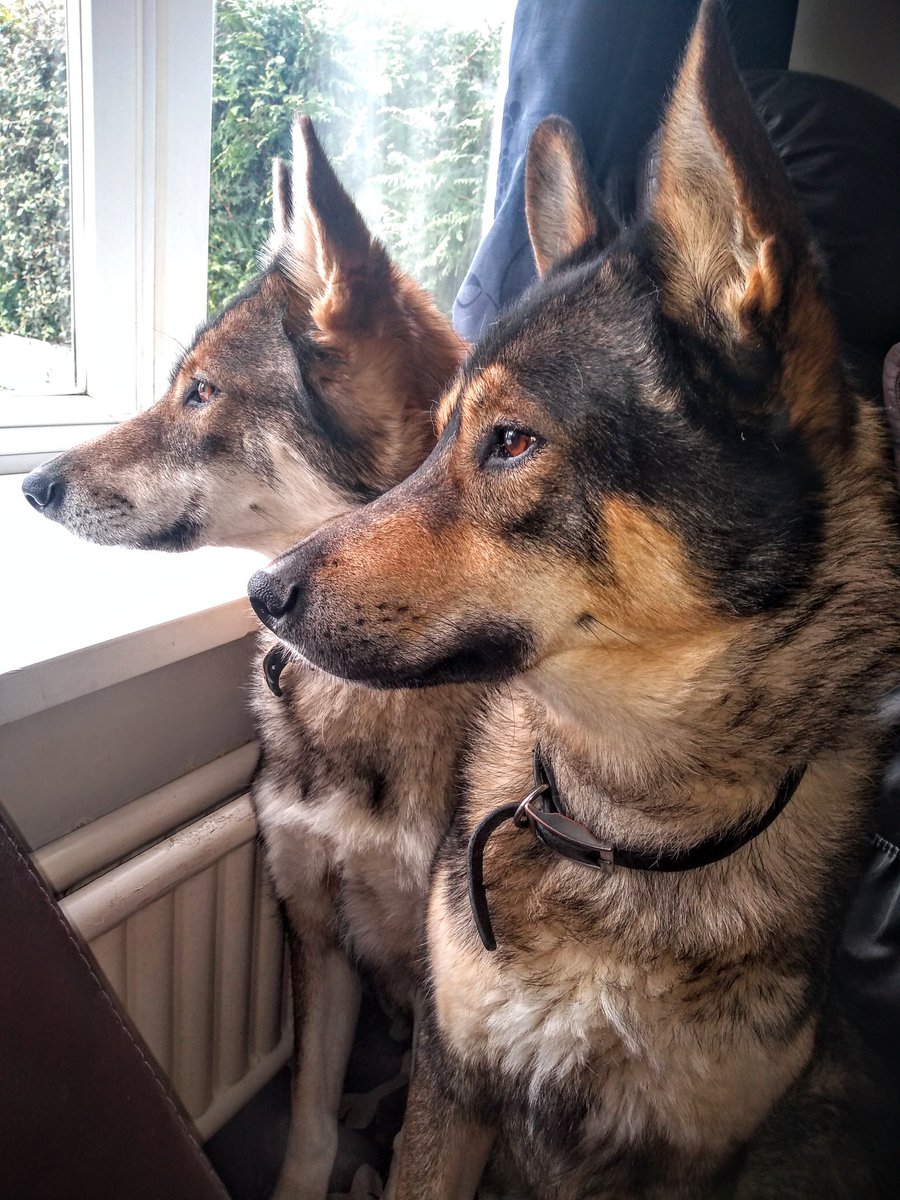 kylie Griffin (@kylielou20) on Twitter photo 