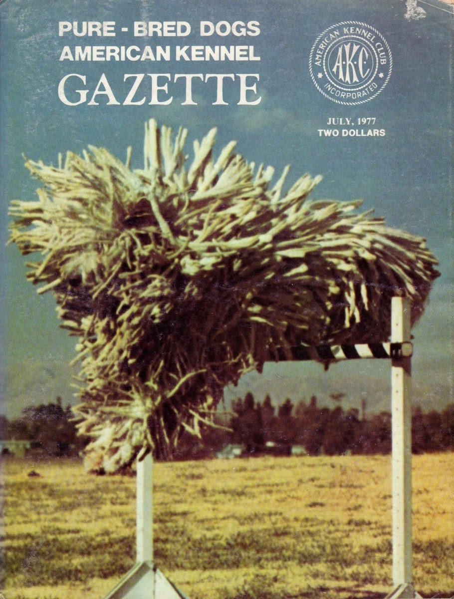 The Art of Album Covers .Beck's 1996 release Odelay used one of several photographs shot by Joan Ludwig for the July 1977 issue of the American Kennel Club’s Gazette..The dog is a Komondor, a breed also referred to as “mop dogs” or “Hungarian sheepdogs”