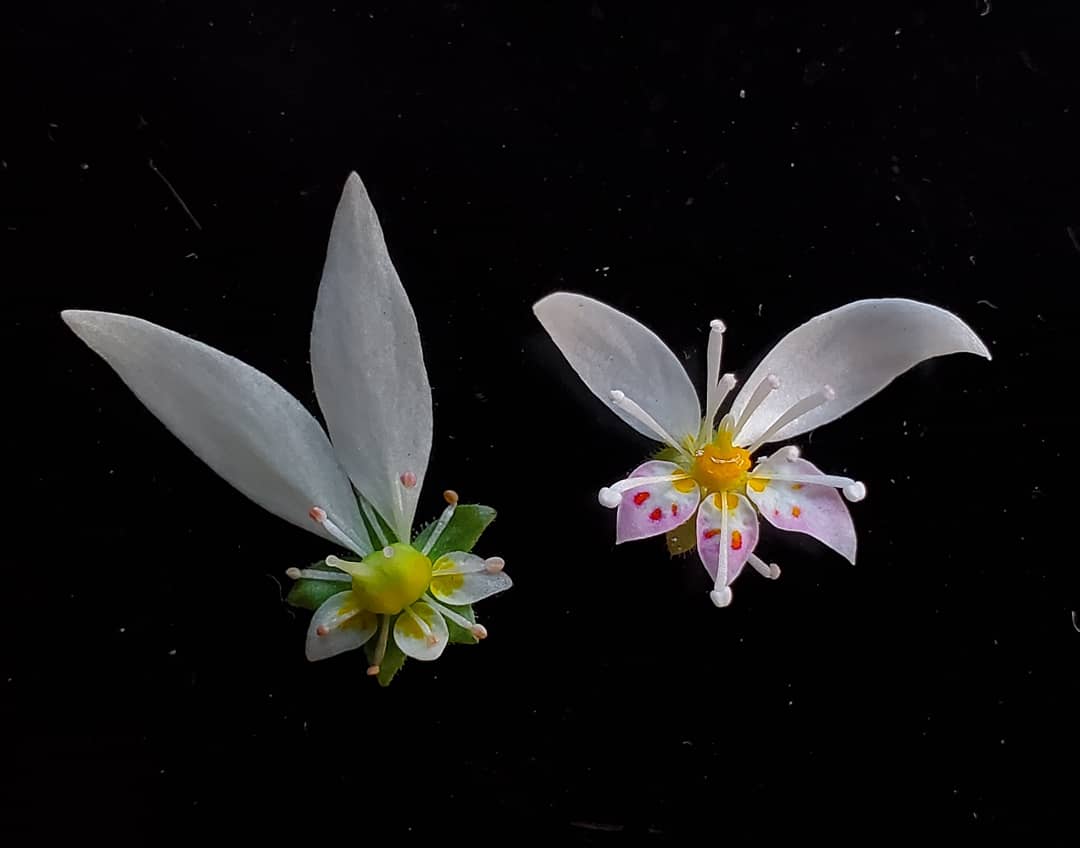 山下智道【公式】 on X