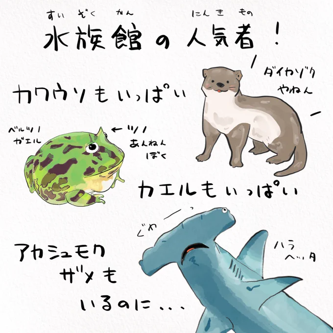 コンペイトウは日本海に住む可愛い深海魚!
コロナが終息したらみんなもぜひ遊びに行ってね☺️(2/2)#越前松島水族館 