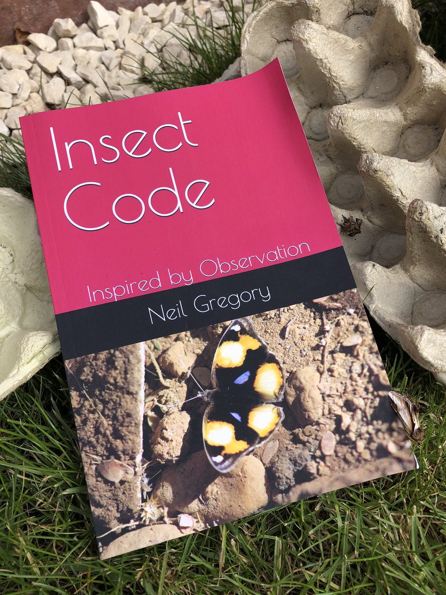 My novel #InsectCode is available to buy from Amazon (amazon.co.uk/Insect-Code-Ob… ). Can you see the real insects having a read too?