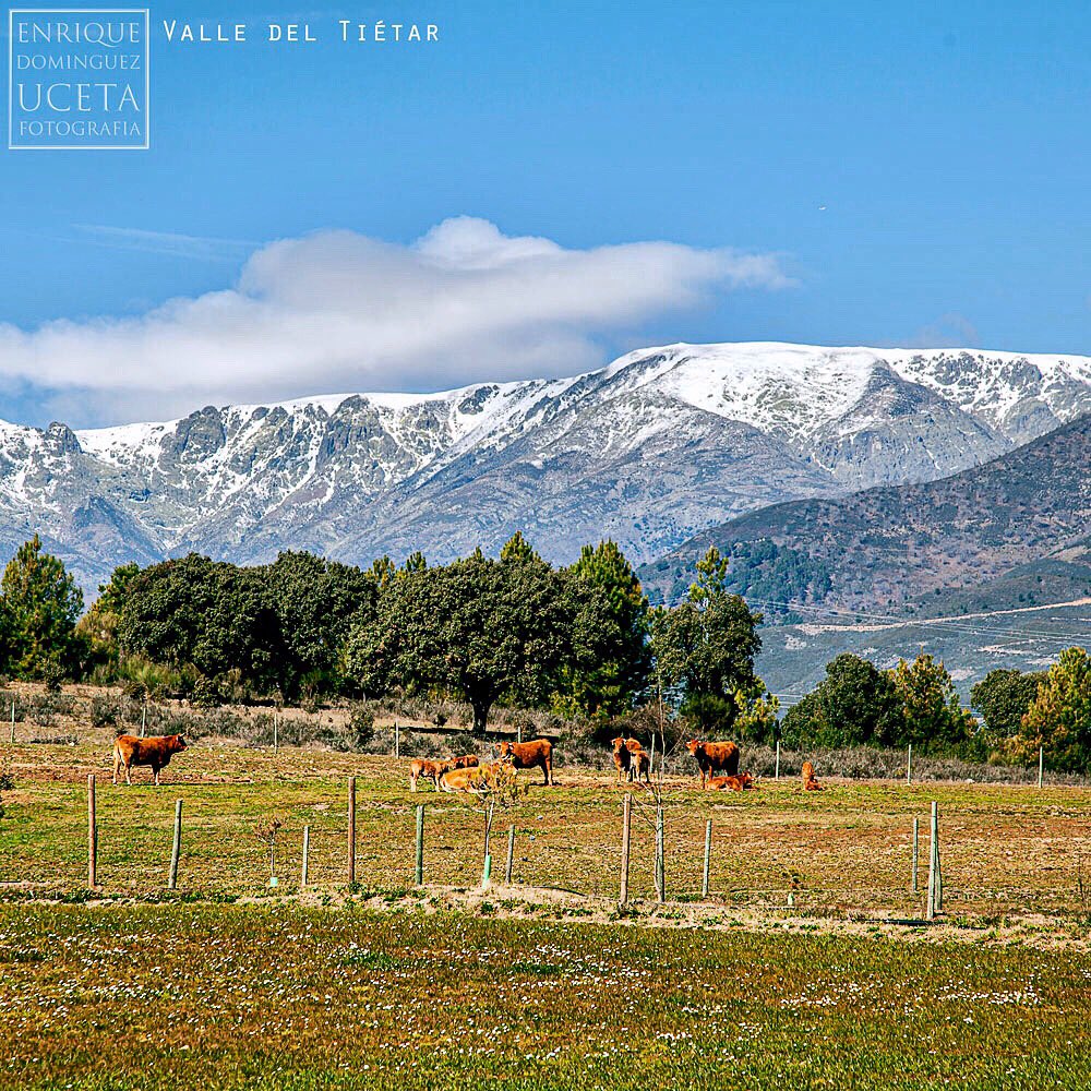 EnriqueD_Uceta's tweet photo. Hoy invito a un paseo (futuro) por El aire puro del Valle del Tiétar en Ávila, desde Gente Viajera de Onda Cero @genteviajeraocr @ondacero #tietar   #avila #arenasdesanpedro #candeleda #riotietar https://t.co/JYJIFAULVp