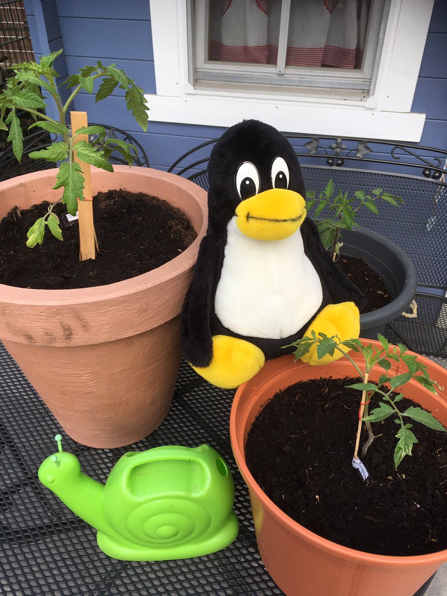 do_foss's tweet photo. @openproject @stadtdortmund @OpenSeeds Open Source Seeds and Open Source Software have a lot in common. Here we are. https://t.co/3K6ovKrbKG
#sunviva #opensource #opensourceseeds #dofoss #dortmund #tuxontour https://t.co/RDXZqsiOQL