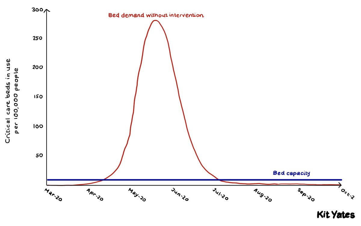 In reality the curve looks like this. There was never going to be any chance of "flattening the curve" and arriving at herd immunity without hugely overwhelming critical care capacity. It was a complete sham. 2/3