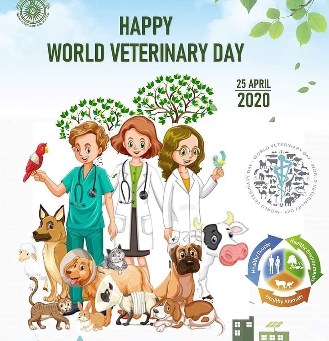 dopjp's tweet image. Happy #veterinaryday, a good opportunity to remind that protecting animals preserves our future: @OIEAnimalHealth #OneHealth