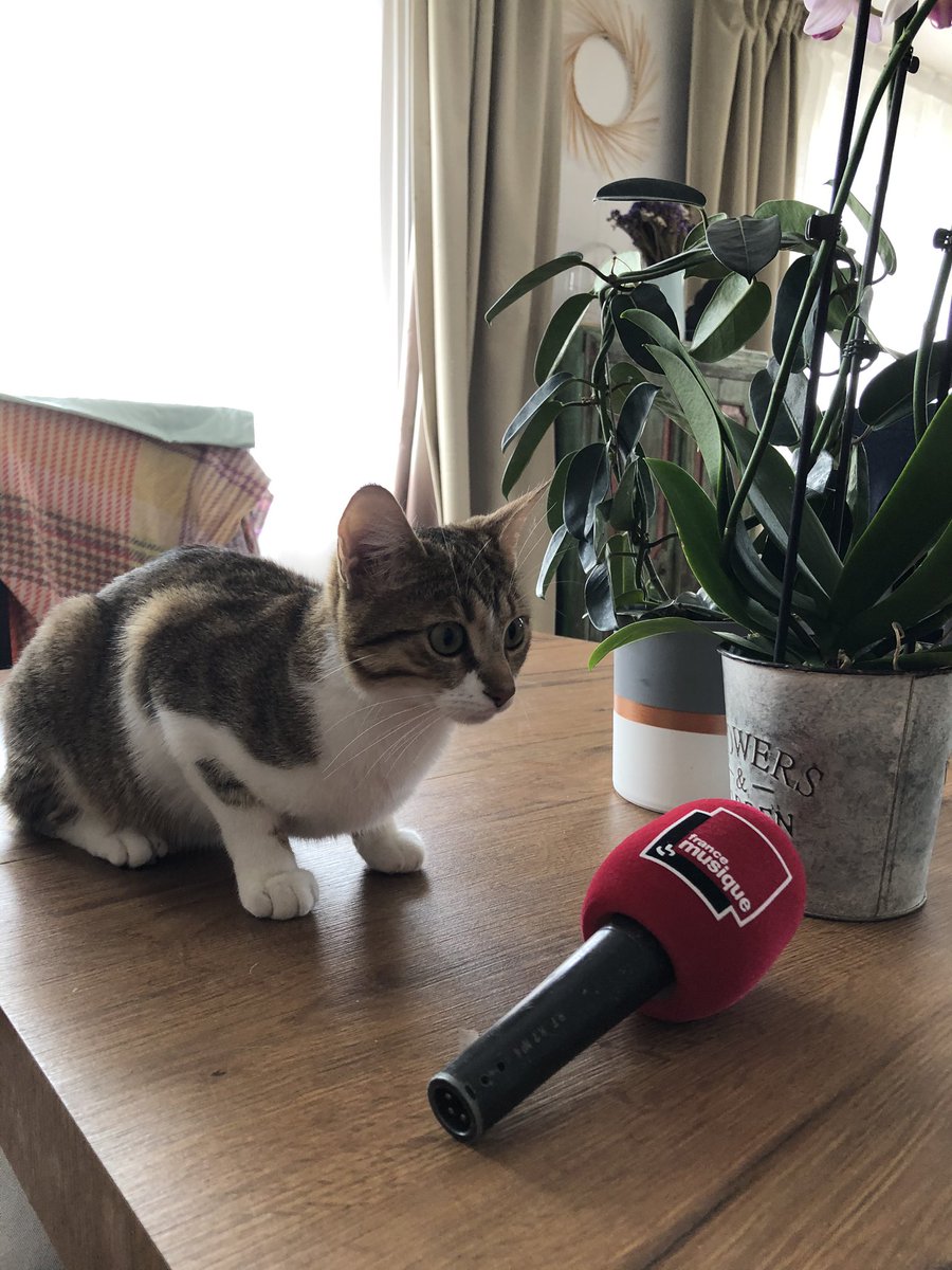 Munera Emilie Bonjour Chat De Rodolphe Bruneau Boulmier