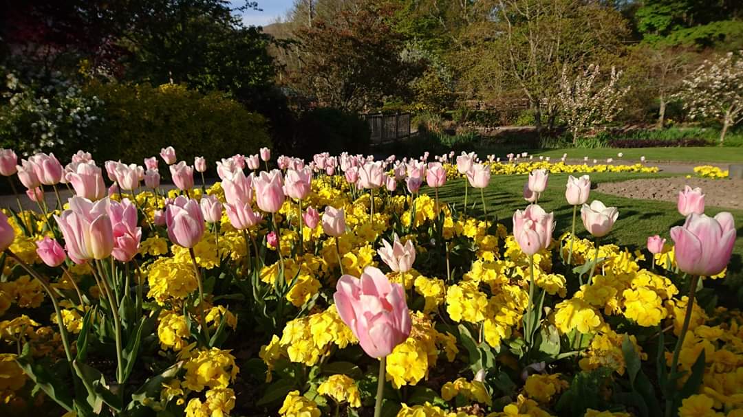Bookends Keswick www.bookscumbria.com tweet media